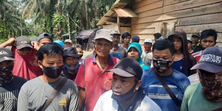Kelompok Tani Desa Tarikan saat berada di kebun sawit yang dijaga oleh pihak kepolisian. (Dok. Lamanesia.com)