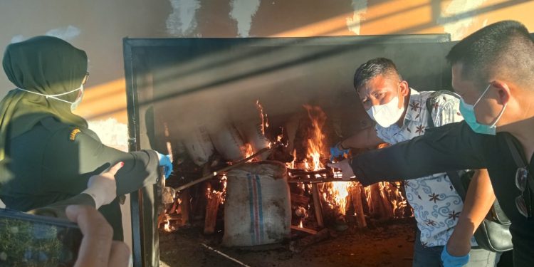 Petugas Direktorat Polairud Polda Jambi memusnahkan ratusan karung bawang merah ilegal di Tempat Pembuangan Akhir (TPA) Talang Gulo, Kota Jambi, Rabu (29/10/2025). (Dok: Alpin)