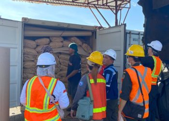 Petugas Karantina Jambi melakukan pemeriksaan dan pelepasan ekspor bubuk kulit kayu manis asal Kerinci menuju Belanda melalui Pelabuhan Talang Duku, Jambi, Minggu (21/12/2025). (Dok: Rudi)