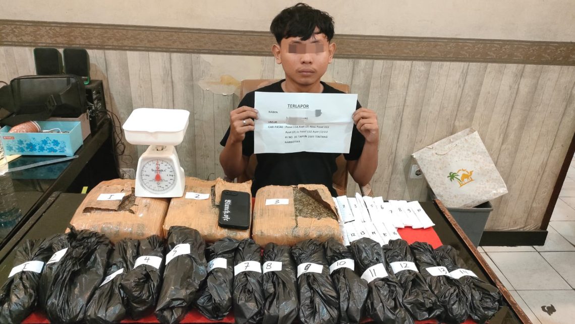 Petugas Satresnarkoba Polresta Jambi menunjukkan barang bukti ganja lebih dari 4 kilogram yang disita dari seorang pemuda berinisial JMN, usai penangkapan di Talang Bakung, Jambi Selatan. (Dok: Alpin)