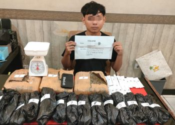 Petugas Satresnarkoba Polresta Jambi menunjukkan barang bukti ganja lebih dari 4 kilogram yang disita dari seorang pemuda berinisial JMN, usai penangkapan di Talang Bakung, Jambi Selatan. (Dok: Alpin)