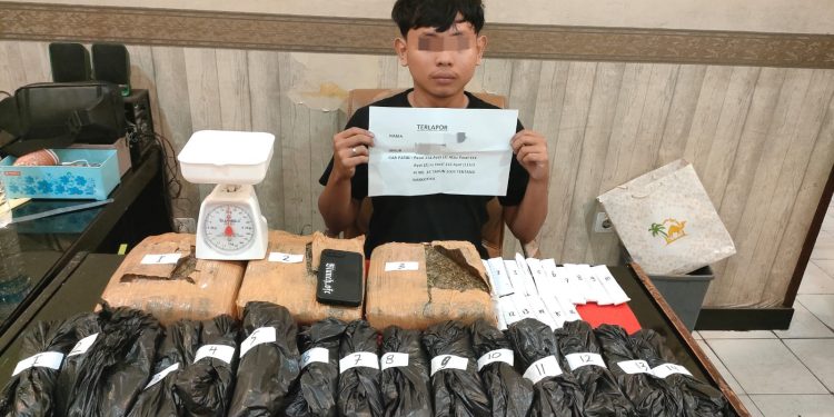 Petugas Satresnarkoba Polresta Jambi menunjukkan barang bukti ganja lebih dari 4 kilogram yang disita dari seorang pemuda berinisial JMN, usai penangkapan di Talang Bakung, Jambi Selatan. (Dok: Alpin)