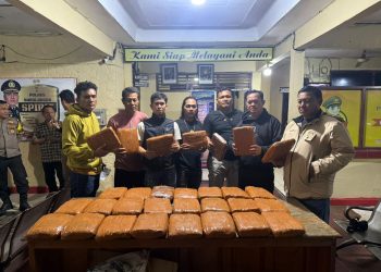 Petugas Polres Sarolangun menunjukkan barang bukti ganja seberat 42 kilogram hasil pengungkapan jaringan peredaran narkotika lintas provinsi Pekanbaru–Lampung, Jumat (9/1/2026). (Dok: Alpin)