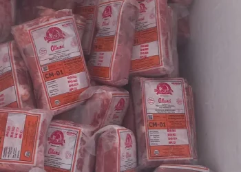 Ilustrasi daging beku. (Dok: Istimewa)