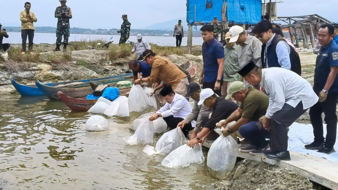 Gubernur Jambi Al Haris menabur benih ikan di Danau Kerinci. Sabtu 7 Maret 2026. (Dok: Rudi)