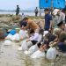 Gubernur Jambi Al Haris menabur benih ikan di Danau Kerinci. Sabtu 7 Maret 2026. (Dok: Rudi)