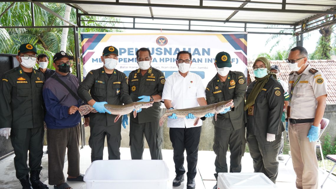 Balai Karantina Jambi saat melakukan pemusnahan ikan Sapu-Sapu dan aligator. (Dok: Balai Karantina Jambi)