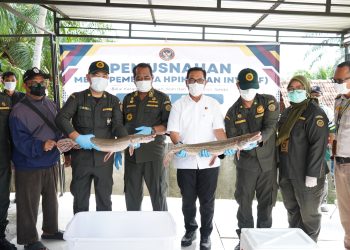 Balai Karantina Jambi saat melakukan pemusnahan ikan Sapu-Sapu dan aligator. (Dok: Balai Karantina Jambi)