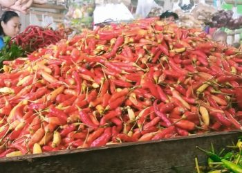 Cabai rawit kecil di Pasar Angso Duo Jambi