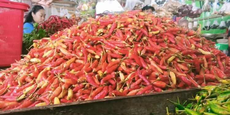 Cabai rawit kecil di Pasar Angso Duo Jambi