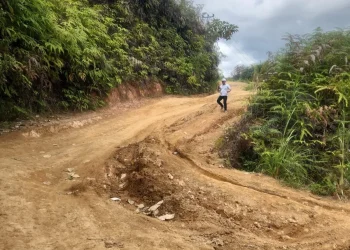 Petugas Dinas Pekerjaan Umum dan Penataan Ruang (PUTR) Provinsi Jambi melakukan persiapan perbaikan jalan di Desa Ranah Pemetik, Kabupaten Kerinci. (Dok: Rahmat)