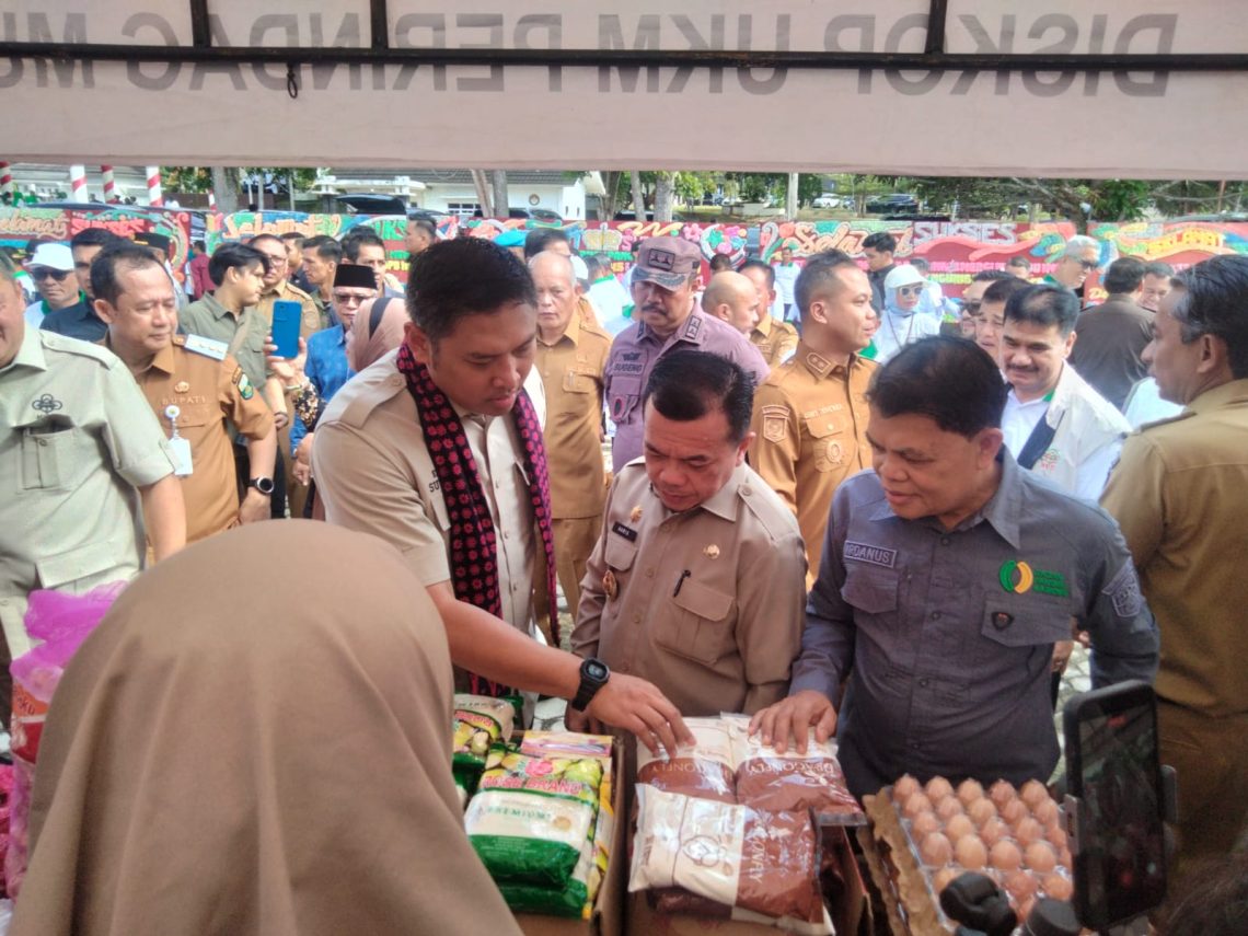 Gubernur Jambi Al Haris bersama Wakil Menteri Pertanian Sudaryono menghadiri pelantikan DPD Himpunan Kerukunan Tani Indonesia Provinsi Jambi di Muarojambi. (Dok: Rahmat)