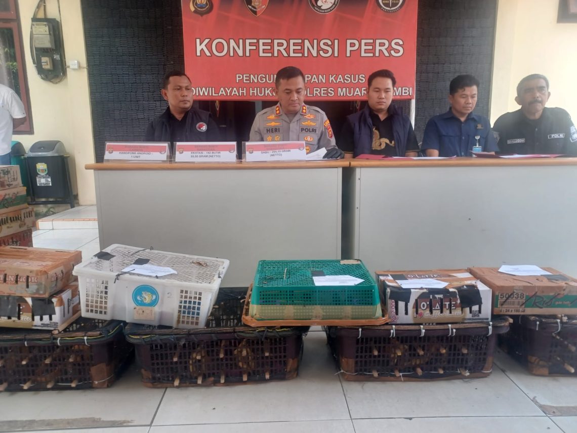 Kapolres Muaro Jambi AKBP Heri Supriawan saat menunjukkan ratusan burung hasil pengungkapan kasus perdagangan satwa dilindungi di Jalan Lintas Timur Km 32, Desa Bukit Baling, Kecamatan Sekernan. (Dok: Alpin)