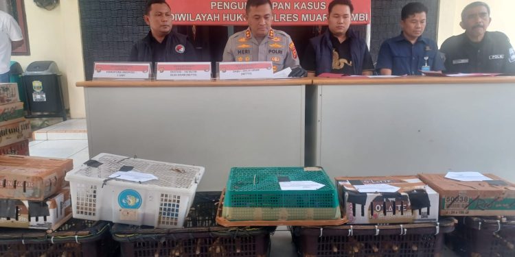 Kapolres Muaro Jambi AKBP Heri Supriawan saat menunjukkan ratusan burung hasil pengungkapan kasus perdagangan satwa dilindungi di Jalan Lintas Timur Km 32, Desa Bukit Baling, Kecamatan Sekernan. (Dok: Alpin)