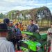 Bupati Merangin M. Syukur saat panen jagung di BBU Sungai Manau. (Dok: Rahmat)