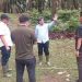 Caption Foto:
Region Head PTPN IV Regional IV Khayamuddin Panjaitan saat meninjau pemanfaatan tandan kosong kelapa sawit (tankos) di Kebun Ophir, Sumatera Barat. (Dok: PTPN IV Regional IV Jambi)