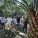 Petani mitra Asian Agri, Haji Zulkifli Sihombing, memperlihatkan kebun sawit Topaz miliknya di Merlung. (Dok: Rahmat)