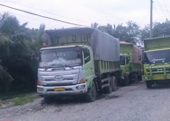 Puluhan truk angkutan batu bara masih terlihat melintas di Jalur Lintas Sumatera wilayah Sarolangun. (Dok: Redaksi)
