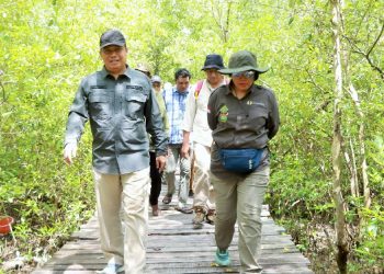 Wakil Bupati Tanjung Jabung Barat, Katamso SA mendampingi Tim Verifikasi dan Asistensi Kementerian Kehutanan Republik Indonesia meninjau Kawasan Wisata Mangrove Pangkal Babu, Desa Tungkal I, Kecamatan Tungkal Ilir, Selasa (5/5/2026). (Dok: Rahmat)