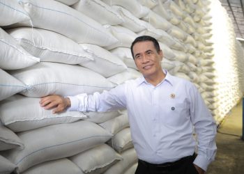 Menteri Pertanian (Mentan) Amran Sulaiman. (Dok: Kementerian Pertanian)