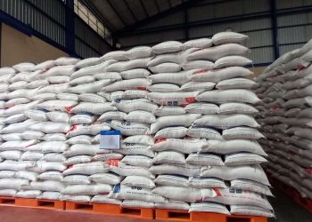 Petugas Perum Bulog menunjukkan stok beras di gudang Bulog Jambi. (Dok: Redaksi)