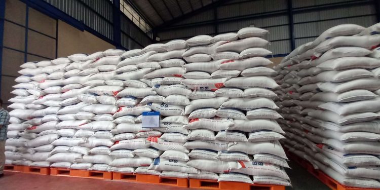 Petugas Perum Bulog menunjukkan stok beras di gudang Bulog Jambi. (Dok: Redaksi)