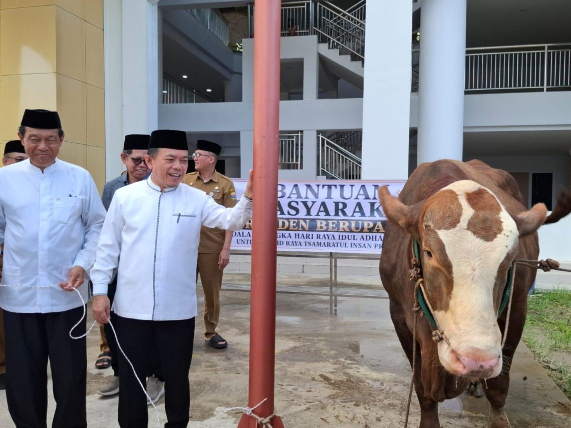 Gubernur Jambi Al Haris menyerahkan secara simbolis sapi kurban bantuan Presiden RI Prabowo Subianto di Masjid Tsamaratul Insan Islamic Center, Selasa (26/5/2026). (Dok: Rudi)