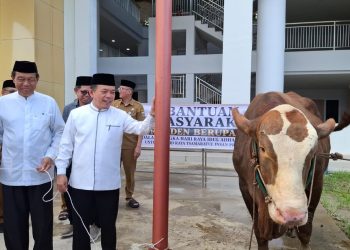 Gubernur Jambi Al Haris menyerahkan secara simbolis sapi kurban bantuan Presiden RI Prabowo Subianto di Masjid Tsamaratul Insan Islamic Center, Selasa (26/5/2026). (Dok: Rudi)
