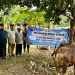 PT Jaya Wira Manggala Cabang Jambi menyerahkan satu ekor sapi qurban kepada Pengurus Masjid Al Faizin, Kecamatan Jaluko, Kabupaten Muaro Jambi. (Dok: Alpin)