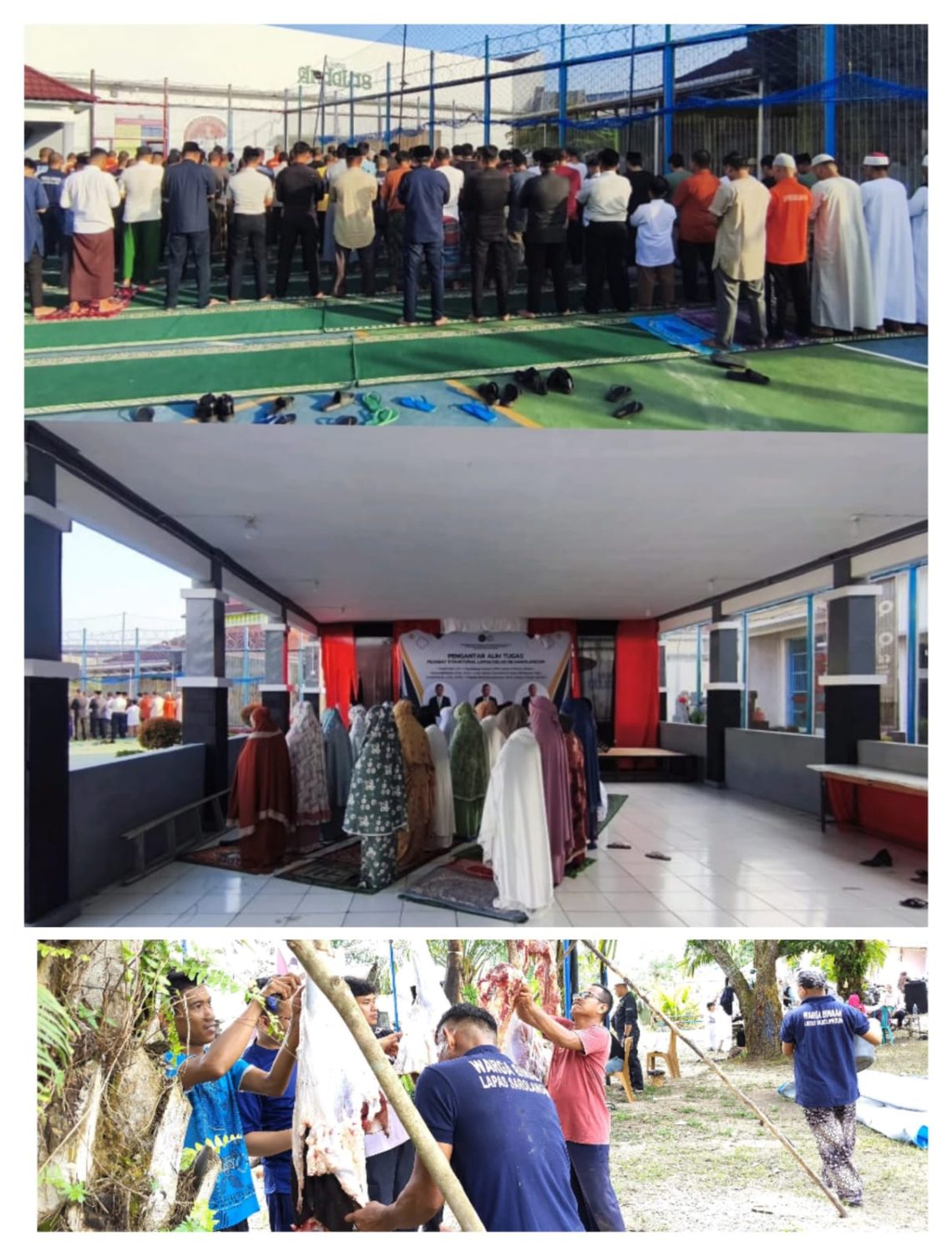 Petugas dan warga binaan Lapas Kelas IIB Sarolangun bersama-sama melaksanakan penyembelihan hewan kurban pada Hari Raya Iduladha 1447 H. (Dok: Humas Lapas Sarolangun)