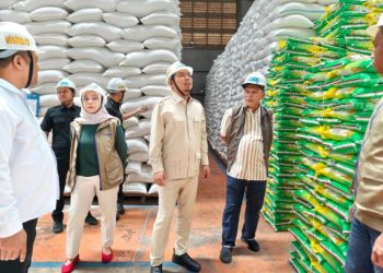 Anggota DPR RI Rocky Candra saat melakukan sidak ketersediaan stok pangan di Gudang Bulog Kanwil Jambi, Sabtu (2/5/2026). (Dok: Rudi)