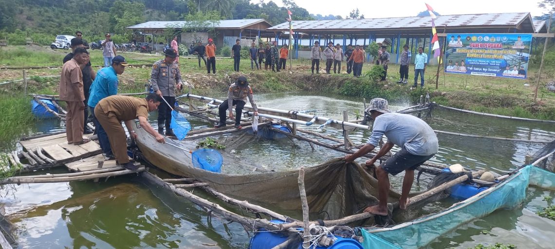 pemanfaatan lahan eks tambang oleh Polsek tabir Ulu menjadi kolam ikan dan lahan pertanian produktif di wilayah Tabir Ulu, Kabupaten Merangin, Jambi. (Dok: Humas Polda Jambi)