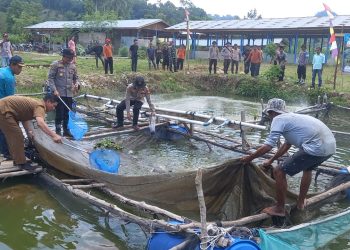 pemanfaatan lahan eks tambang oleh Polsek tabir Ulu menjadi kolam ikan dan lahan pertanian produktif di wilayah Tabir Ulu, Kabupaten Merangin, Jambi. (Dok: Humas Polda Jambi)