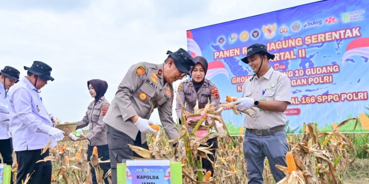 Wakapolda Jambi Brigjen Pol. B. Ali bersama unsur Forkopimda melakukan panen raya jagung serentak Kuartal II Tahun 2026 di lahan PT Brahma Bina Bakti, Desa Suko Awin Jaya, Muaro Jambi, Sabtu (16/5/2026). (Dok: Alpin)