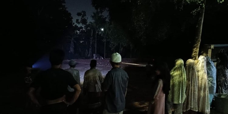 Petugas rescue Dinas Pemadam Kebakaran dan Penyelamatan Kota Jambi mengevakuasi seekor sapi kurban yang lepas dan mengamuk di kawasan Kenali Asam Bawah, Kecamatan Kotabaru. (Dok: Rudi)