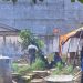 Petugas gabungan bersama relawan menyiapkan ribuan porsi makanan di dapur umum yang didirikan Pemerintah Kabupaten Bungo untuk membantu warga terdampak banjir di tiga kecamatan. (Dok: Redaksi)