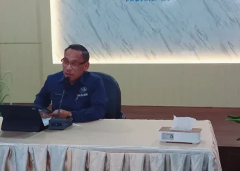 Kepala BPS provinwi Jambi Aidil adha. (Dok: Rudi)