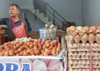 Salah satu pelaku usaha di pasar tradisional Kota Jambi. (Dok: Redaksi)