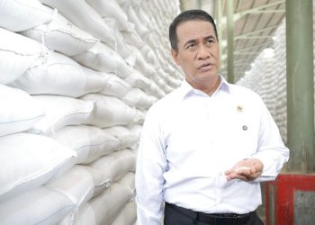 Menteri Pertanian (Mentan) Andi Amran. (Dok: Humas Kementan RI)