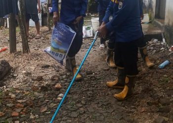 Petugas Pos Damkar dan Penyelamatan Kumpeh Ulu menunjukkan ular kobra yang berhasil dievakuasi dari rumah warga di RT 15 Desa Muara Kumpeh, Kecamatan Kumpeh Ulu, Kabupaten Muaro Jambi. (Dok: Rahmat)