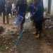 Petugas Pos Damkar dan Penyelamatan Kumpeh Ulu menunjukkan ular kobra yang berhasil dievakuasi dari rumah warga di RT 15 Desa Muara Kumpeh, Kecamatan Kumpeh Ulu, Kabupaten Muaro Jambi. (Dok: Rahmat)