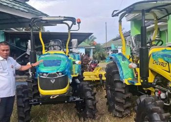 Traktor roda empat milik Dinas Tanaman Pangan dan Hortikultura Kabupaten Muaro Jambi beroperasi membantu petani mengolah lahan pertanian. (Dok: Rahmat)