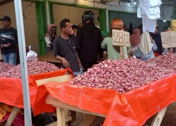 Pedagang di salah satu kios di pasar angso duo kota Jambi (Dok: Rudi)